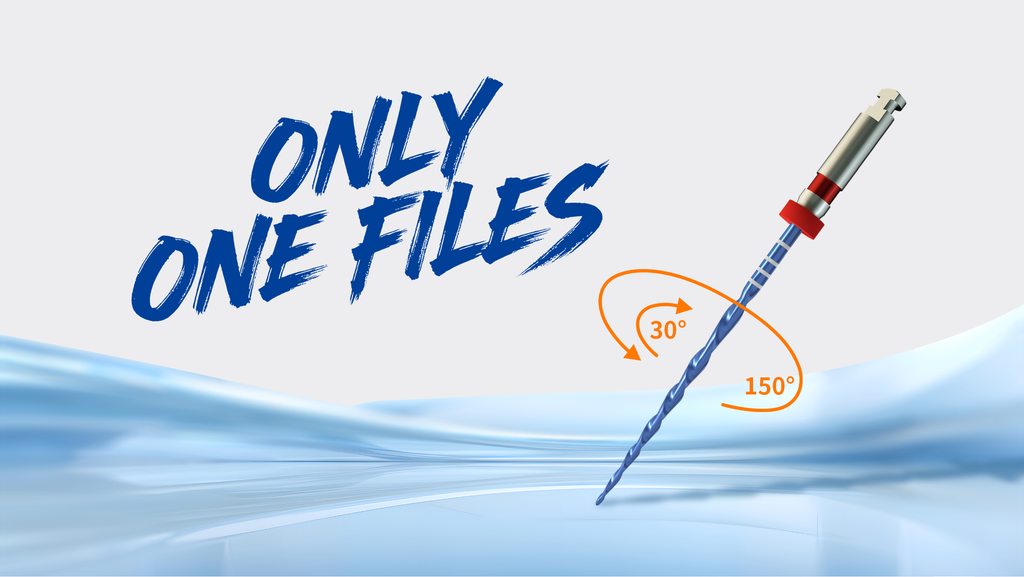 ONLY ONE FILES