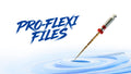 PRO-FLEXI FILES