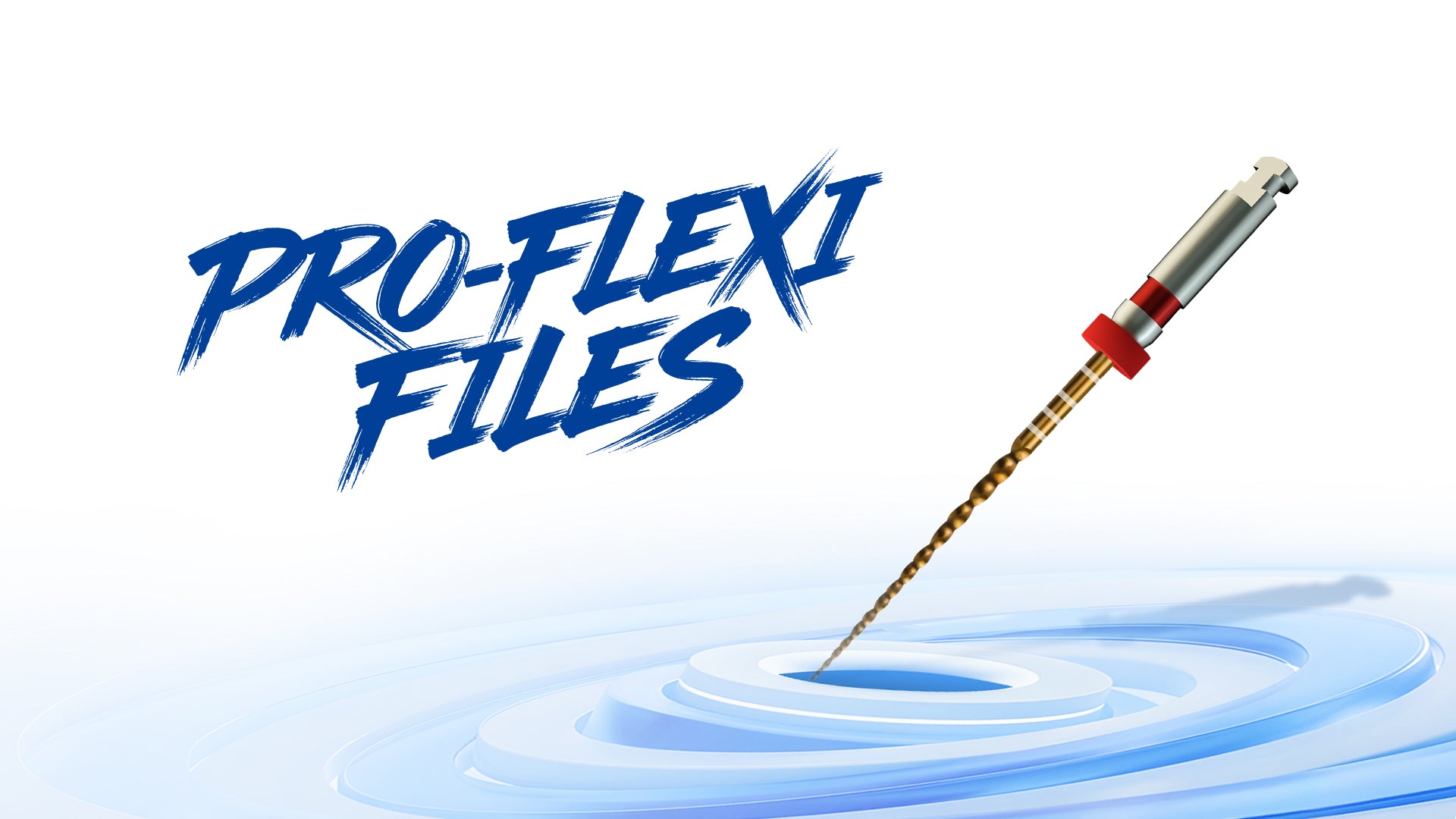 PRO-FLEXI FILES
